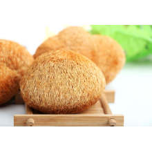 Dried Mushroom Medicinal Mushrooms Lions Mane (Hericium Erinaceus)